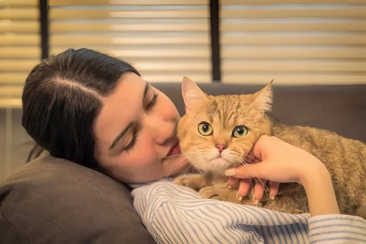 How to Know If Your Cat Trusts You — And Easy Ways to Strengthen Your Relationship