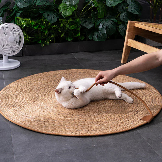 How to Choose the Perfect Mats for Your Cat?