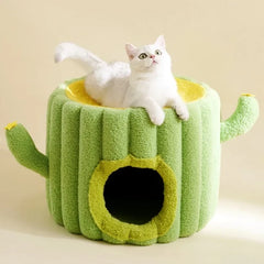 Cactus Climbing Cat House
