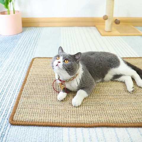 Cat Scratch Guard Mat with Hook and Loop Fastener  Noblekitty
