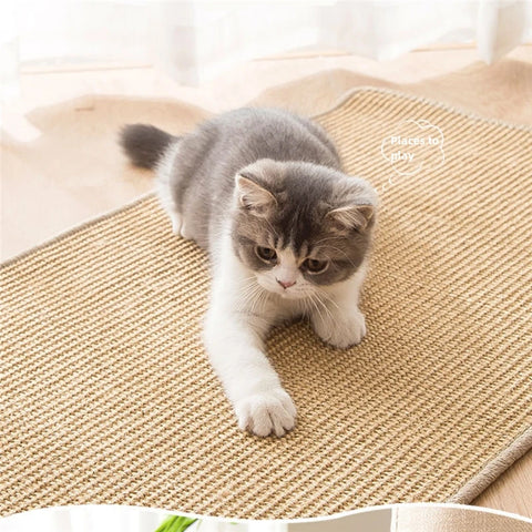Noblekitty  Cat Scratch Guard Mat 