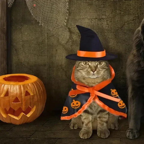NobleKitty Halloween Cat Costume – Satin Cloak with Pumpkin Pattern & Wizard Hat
