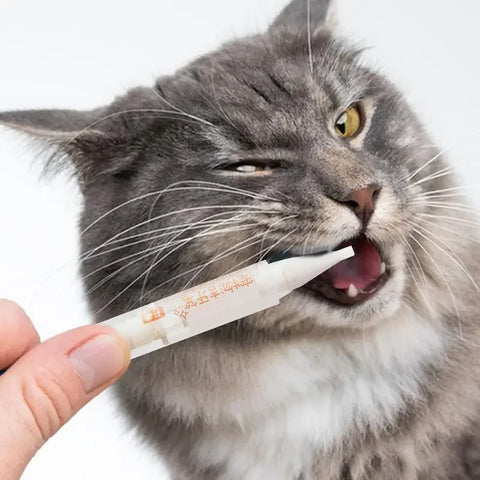 NobleKitty Pet Toothbrush Pen – Professional Oral Care for Pets, Fresh Breath