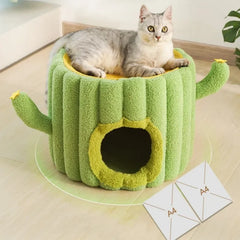 Cactus Climbing Cat House