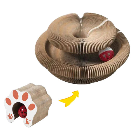 Interactive Cat Toy Ball – Fun and Training for Kittens
