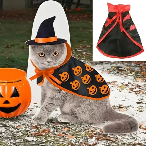 NobleKitty Halloween Cat Costume – Satin Cloak with Pumpkin Pattern & Wizard Hat