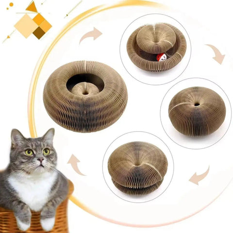 Interactive Cat Toy Ball – Fun and Training for Kittens