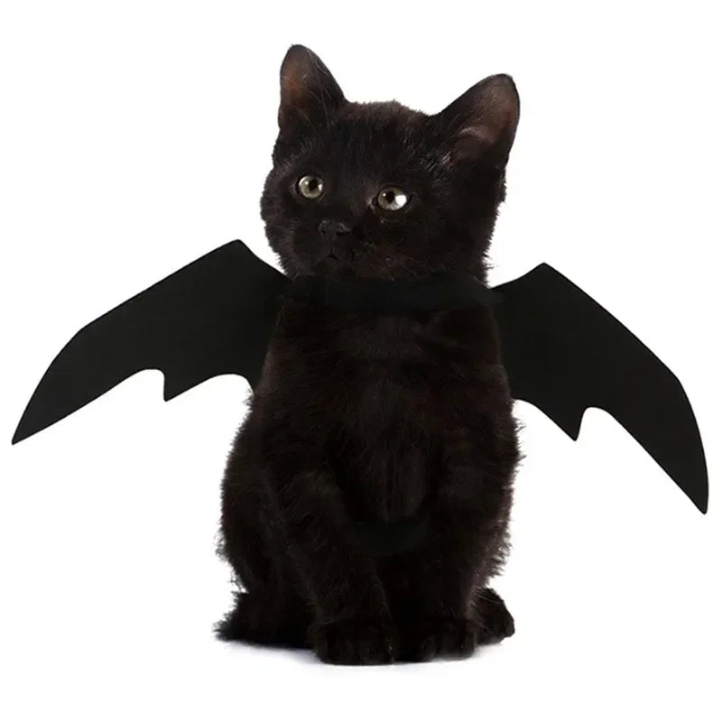 NobleKitty Halloween Bat Wings for Cats – Lightweight Black Felt Costume for Spooky Fun