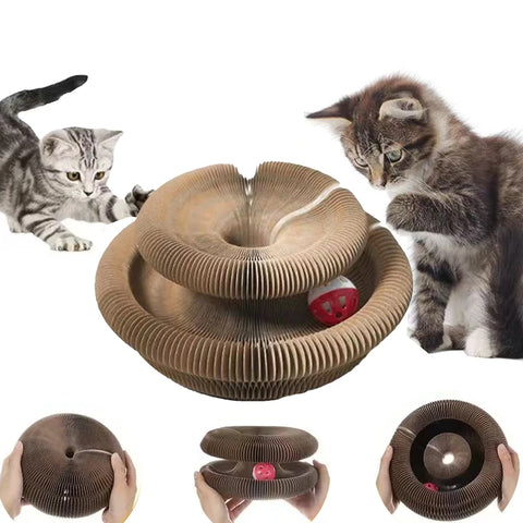 Interactive Cat Toy Ball – Fun and Training for Kittens