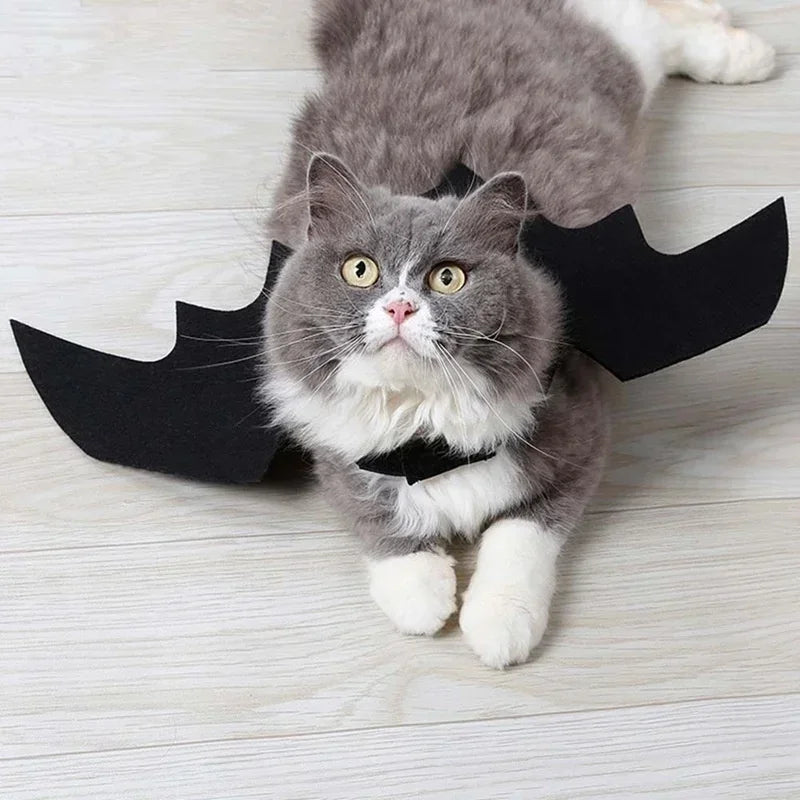 NobleKitty Halloween Bat Wings for Cats – Lightweight Black Felt Costume for Spooky Fun