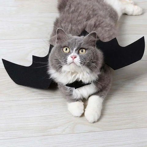 NobleKitty Halloween Bat Wings for Cats – Lightweight Black Felt Costume for Spooky Fun