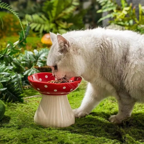 NobleKitty Mushroom Ceramic Cat Bowl – Cute Elevated Feeder with Polka Dots for Cats & Small Dogs