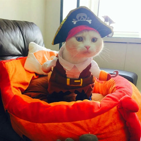 NobleKitty Halloween Pirate Costume for Cats & Small Dogs