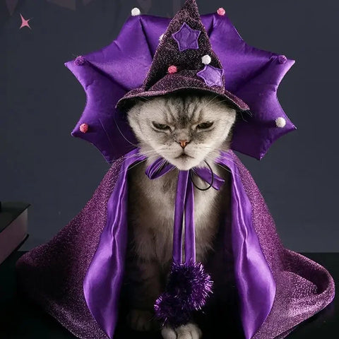 NobleKitty™ Stylish & Comfortable Pet Costumes – Perfect for Cats