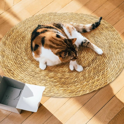 NobleKitty Natural Sisal Cat Mat Scratch-Resistant