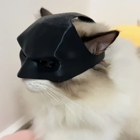 NobleKitty™ Cat Bat Mask – Black Superhero Costume for Cats & Dogs Cute Pet Cosplay Toy