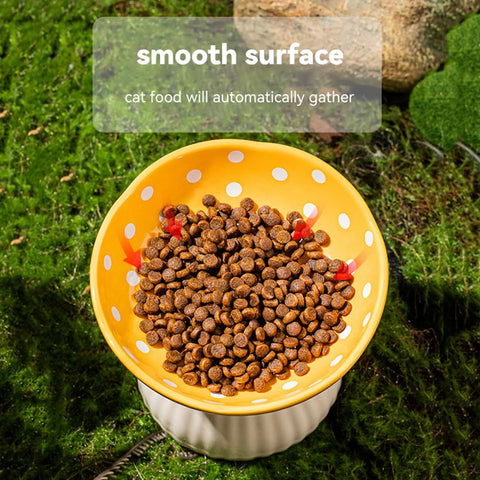 Anti-Chin Acne Cat Bowl