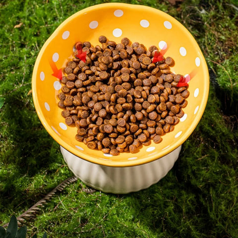 NobleKitty Mushroom Ceramic Cat Bowl – Cute Elevated Feeder with Polka Dots for Cats & Small Dogs