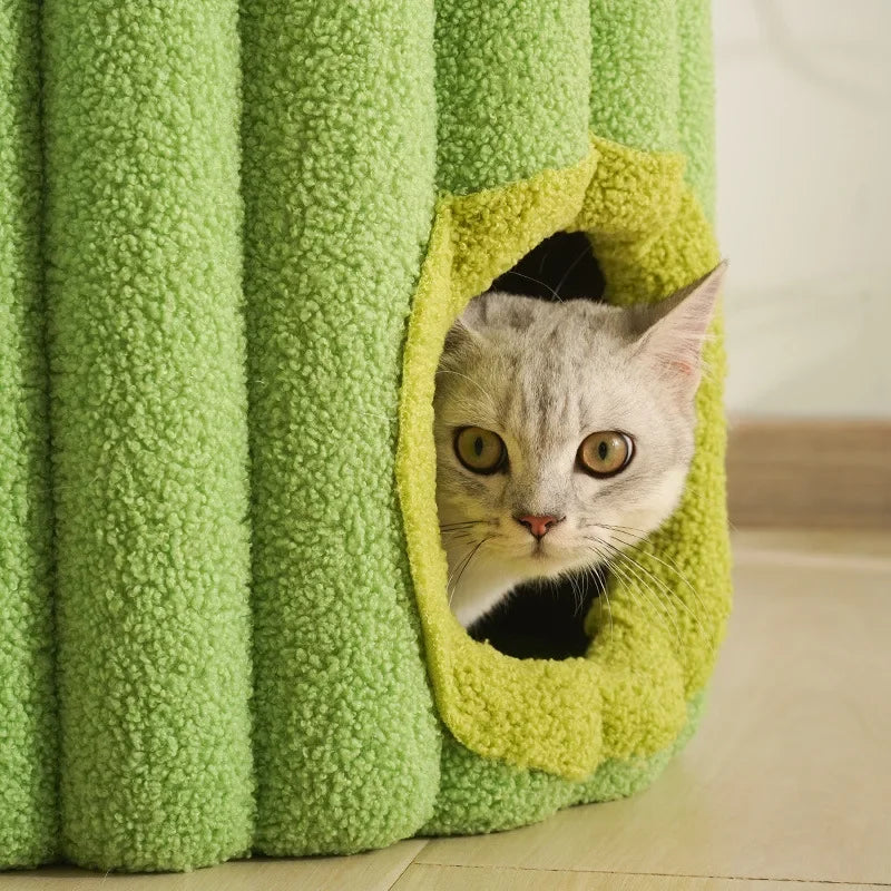 Cactus Climbing Cat House