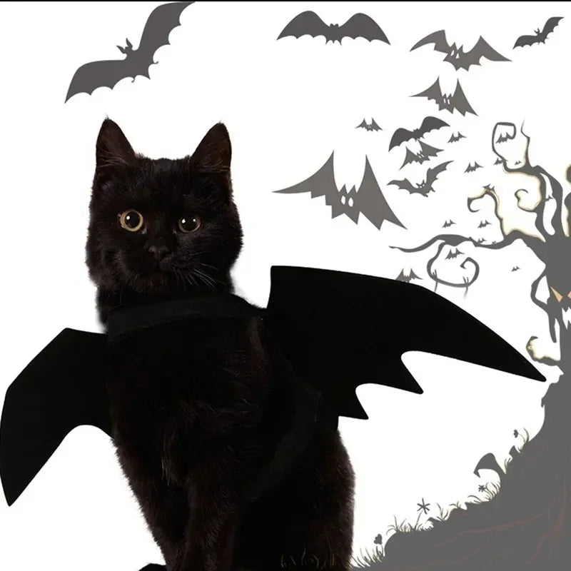 NobleKitty Halloween Bat Wings for Cats – Lightweight Black Felt Costume for Spooky Fun